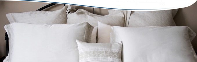 Pillows Protectors
